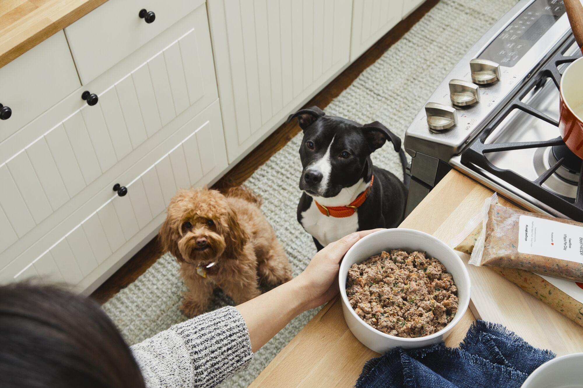 https://www.thefarmersdog.com/digest/wp-content/uploads/2020/05/Dogs-Waiting-for-Food.jpg
