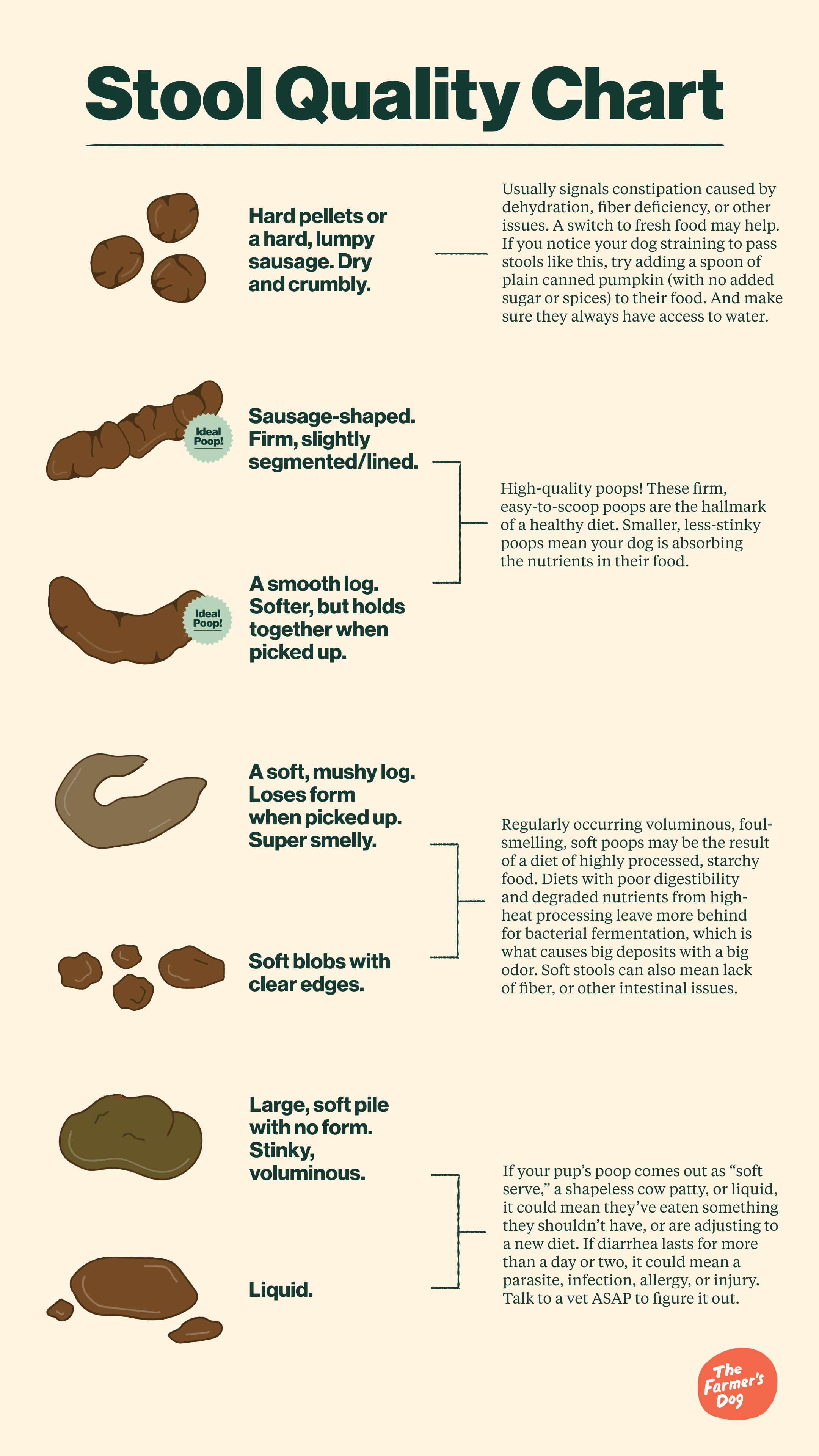 Decoding Your Dog'S Poop