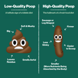 What is HQP (High-Quality Poop)? - The Farmer's Dog