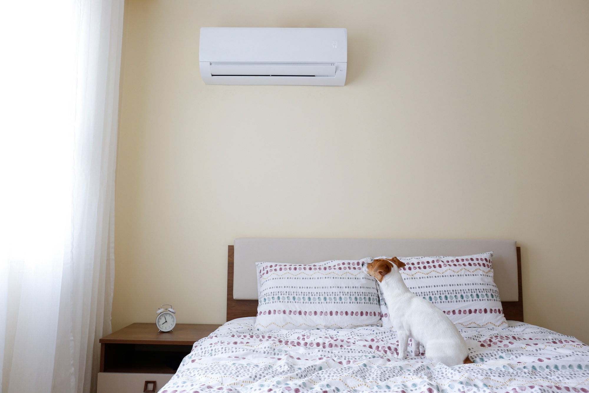 A Jack Russell terrier sitting on a bed near an air conditioner.