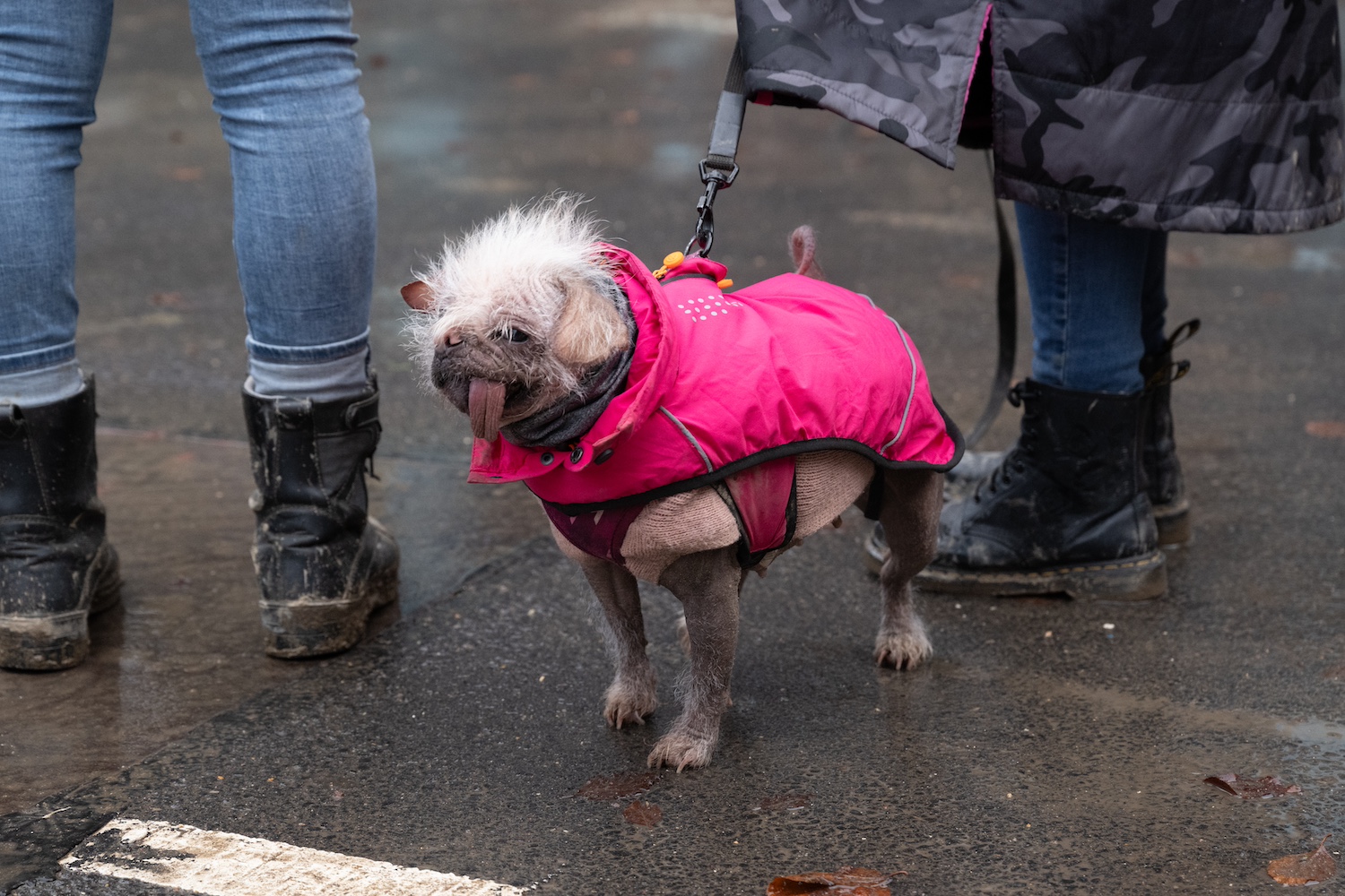 Peggy on set, wearing a pink jacket.