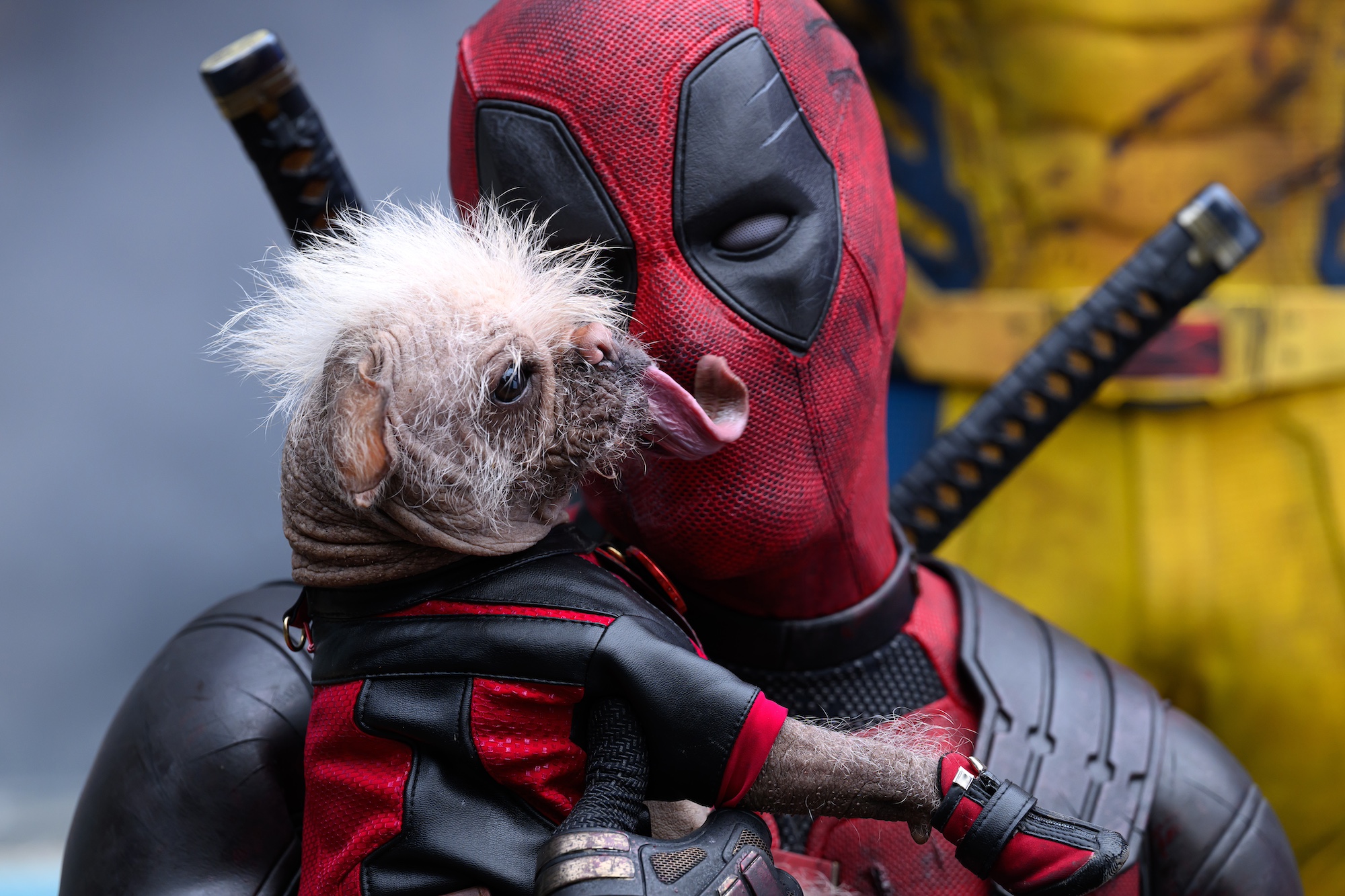 Dogpool licking Deadpool on the face.