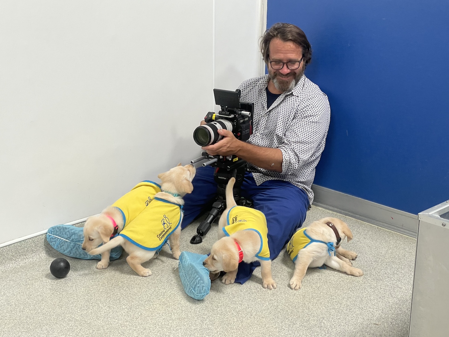 Andy Mitchell filming several puppies at play.